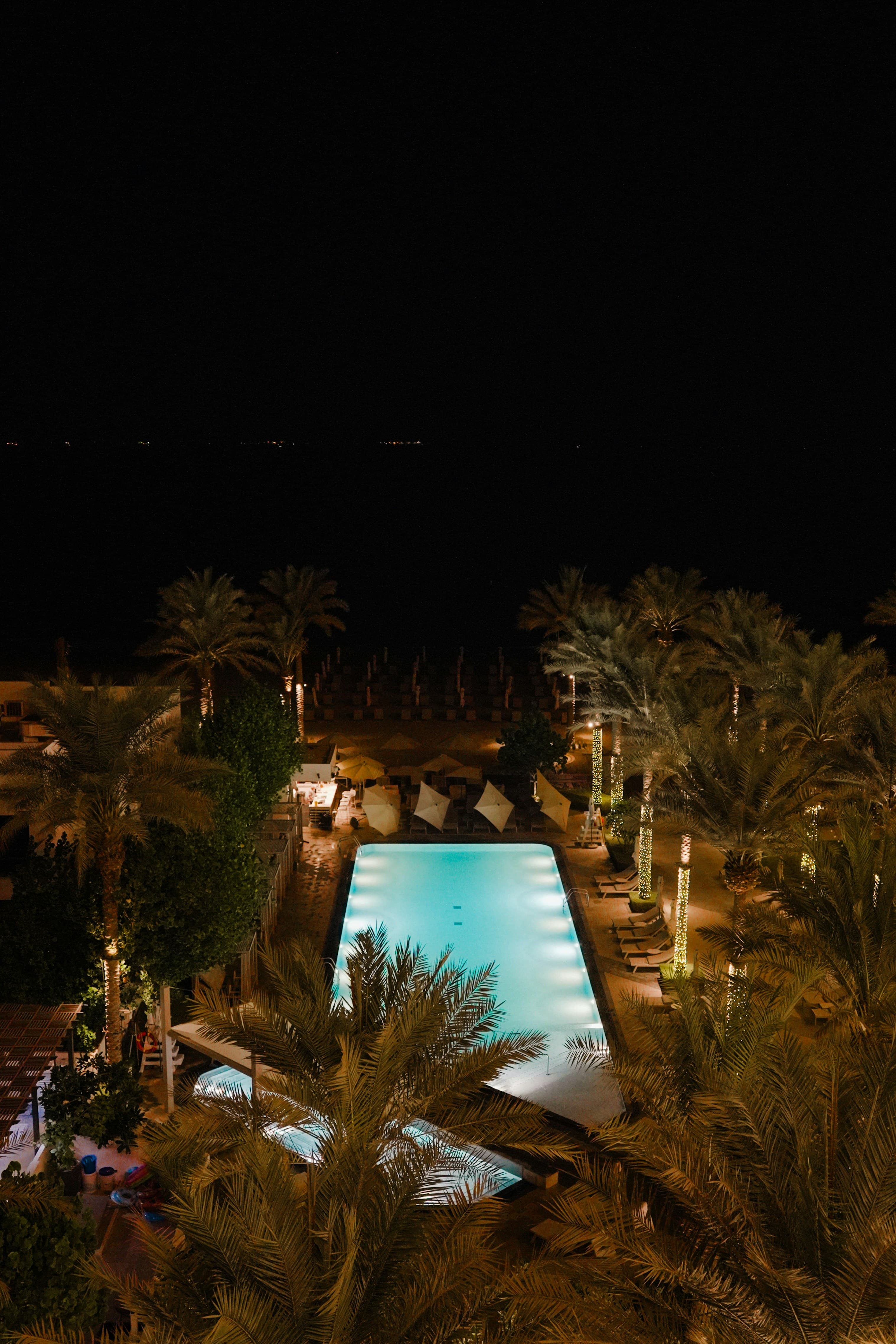 A backyard pool after dark, lit aqua with the planting picked out in warm light